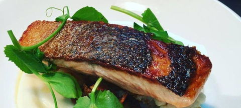 The Shaggy Cow - Restaurants Sydney 0