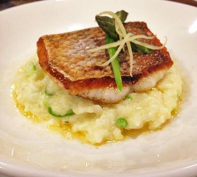 The Shaggy Cow - Restaurants Sydney 13