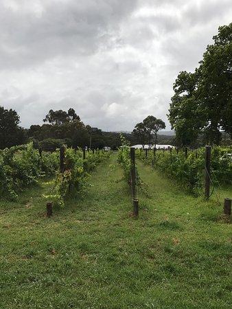 Upper Beaconsfield VIC Restaurants Sydney