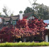 Fetching Treasures - Restaurants Sydney