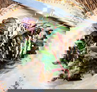 Frank and Connie's Kitchen - Restaurants Sydney