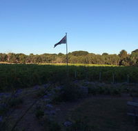 Lazzar Wines - Restaurants Sydney