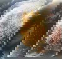 Noodle Dynasty - Restaurants Sydney