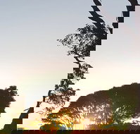 Mallacoota Golf  Country Club - Restaurants Sydney