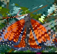 Skydancers Garden Gift Cafe - Restaurants Sydney