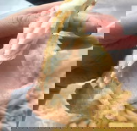 Coleraine Milk Bar - Restaurants Sydney