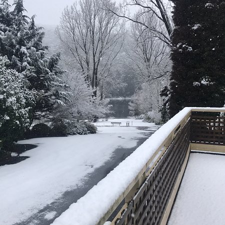 Jacks Tavern - Restaurants Sydney 0