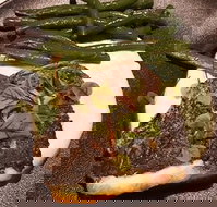 Cento 22 - Restaurants Sydney