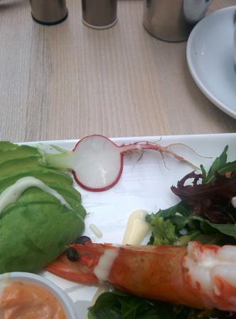 JJ's Cafe Restaurant - Restaurants Sydney 0