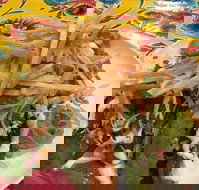 Mu Cha Cha Mexican Kitchen - Restaurants Sydney