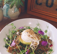 The Shak Organic Cafe  Wine Bar - Restaurants Sydney