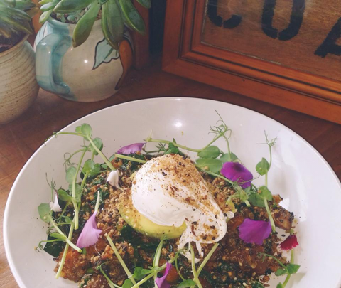 The Shak Organic Cafe & Wine Bar - Restaurants Sydney 0