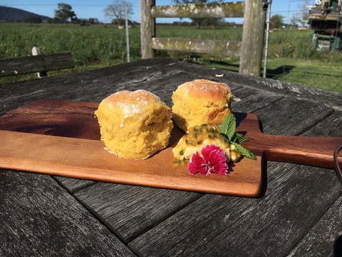 Greendale's Cafe And Restaurant - Restaurants Sydney 0