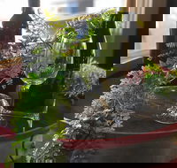 The Red Barrel Wine House - Restaurants Sydney