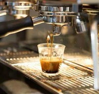 Black Bear Cafe - Restaurants Sydney