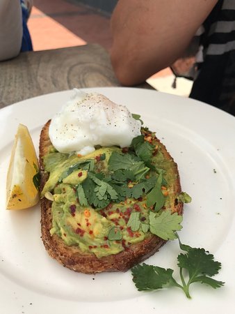 Avoca Beach NSW Restaurants Sydney