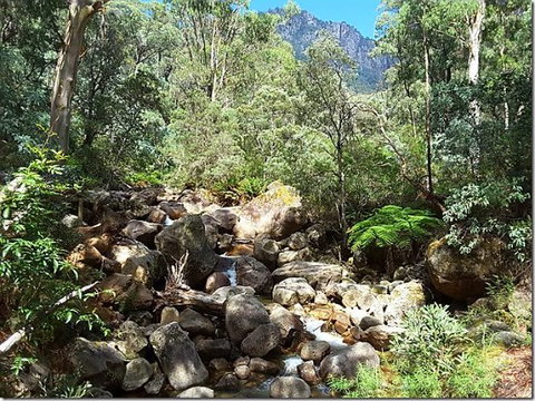Star Chinese Restaurant - Restaurants Sydney 0
