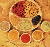 Tehzeeb Indian and Australian Restaurant - Restaurants Sydney