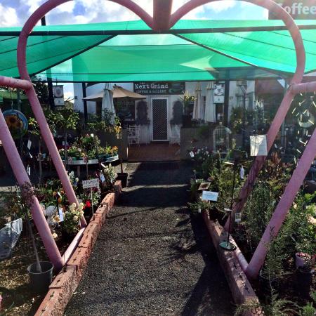 Gilgandra NSW Restaurants Sydney