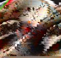 29 Nine 99 - Restaurants Sydney