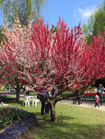 Ngunnawal ACT Restaurants Sydney