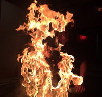 Shin Sen Teppanyaki Restaurant - Restaurants Sydney
