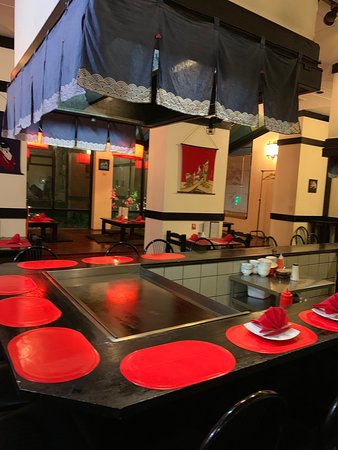 Shogun Japanese Restaurant - Restaurants Sydney 0