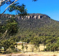 The Lolly Bug - Restaurants Sydney