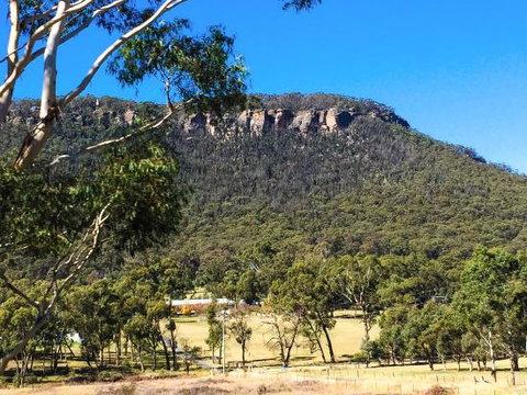 The Lolly Bug - Restaurants Sydney 0