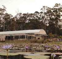 Abundance Cafe and Garden Centre - Restaurants Sydney