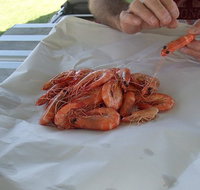 Ballina Fishermen's Co-op - Restaurants Sydney
