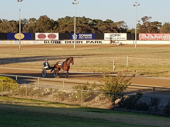 Montacute SA Restaurants Sydney