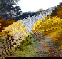 Prickly Moses Brewery - Restaurants Sydney