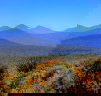 Arcadia Wines - Restaurants Sydney