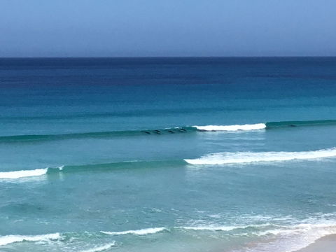 Beach Barista - Restaurants Sydney 1