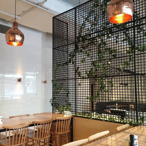 Billy's Kitchen - Restaurants Sydney 0