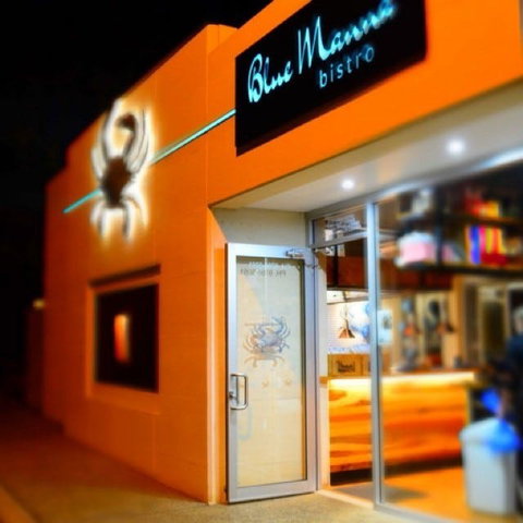 Blue Manna Bistro - Restaurants Sydney 0