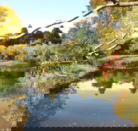 Cradle Coast Olives - Restaurants Sydney