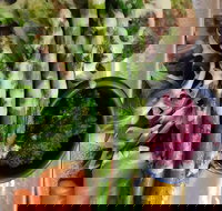 D For Dumplings - Restaurants Sydney