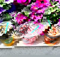 Starbucks - Mascot - Restaurants Sydney