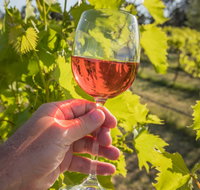 Breakfast Creek Vineyard - Restaurants Sydney