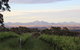Castle Rock Estate Winery - thumb 0