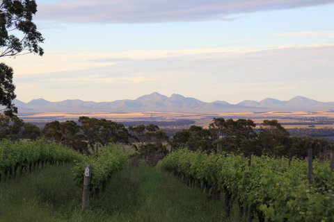 Castle Rock Estate Winery - Restaurants Sydney 0