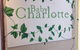 Charlotte - thumb 0