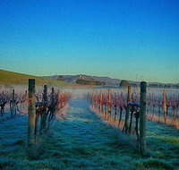 Eastern Peake Winery - Restaurants Sydney