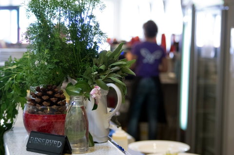 Food Angel Cafe - Restaurants Sydney 1