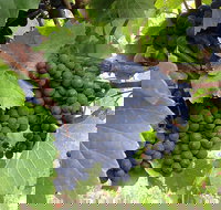 Marcus Hill Vineyard - Restaurants Sydney