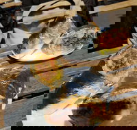 Perso - Restaurants Sydney