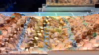 Sushi Lovers - Cleveland