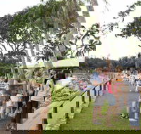 Darwin Ski Club - Restaurants Sydney